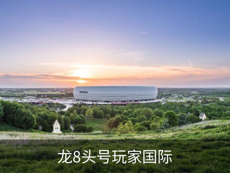 龙8头号玩家国际简介